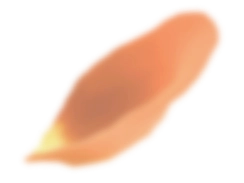 寵物火化