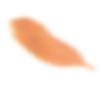 寵物火化