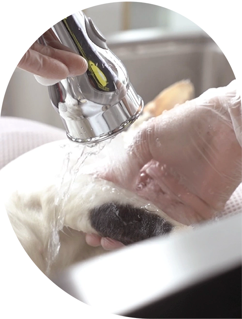 禮體SPA